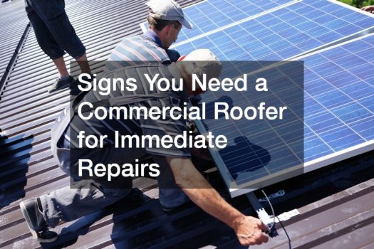 Signs You Need a Commercial Roofer for Immediate Repairs
